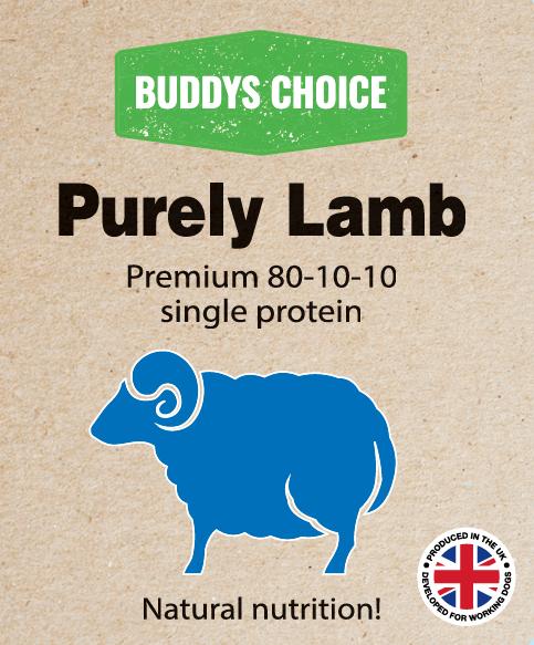 Buddy’s Choice