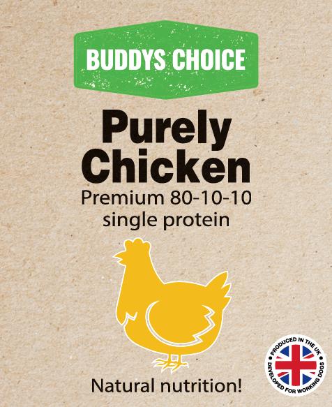 Buddy’s Choice