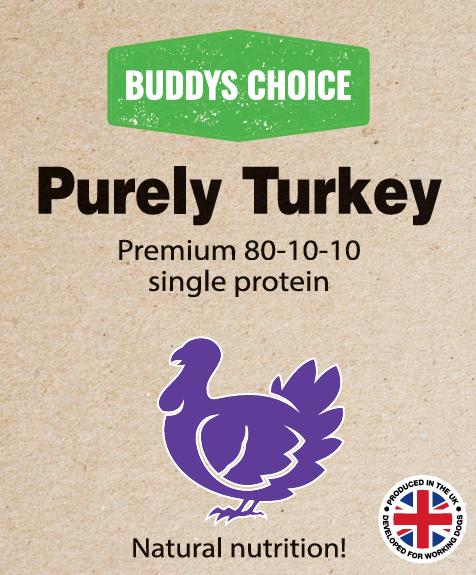 Buddy’s Choice