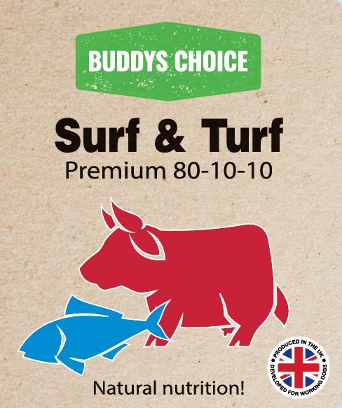 Buddy’s Choice
