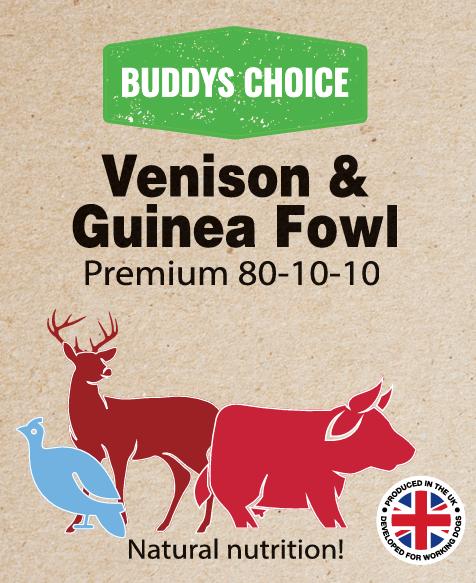 Buddy’s Choice