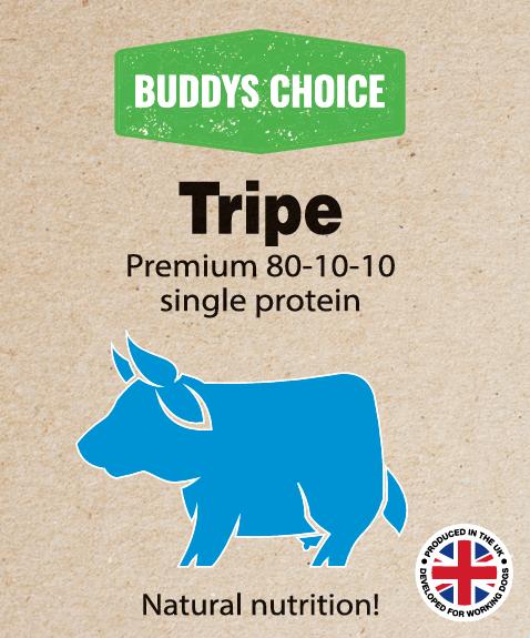 Buddy’s Choice