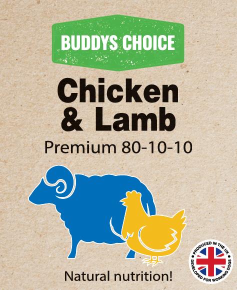 Buddy’s Choice