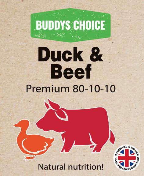 Buddy’s Choice