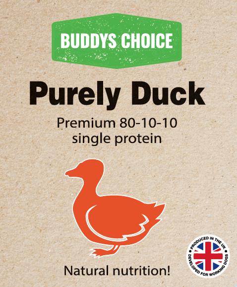 Buddy’s Choice