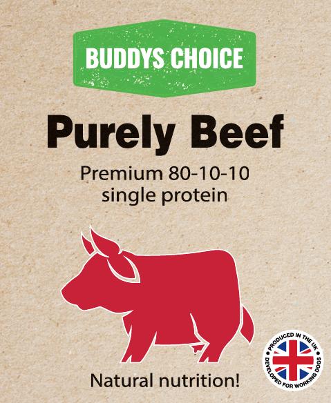 Buddy’s Choice