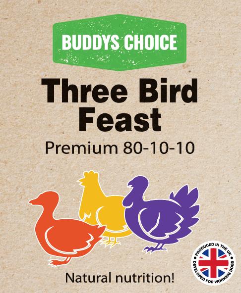Buddy’s Choice