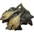 Flounder Fish