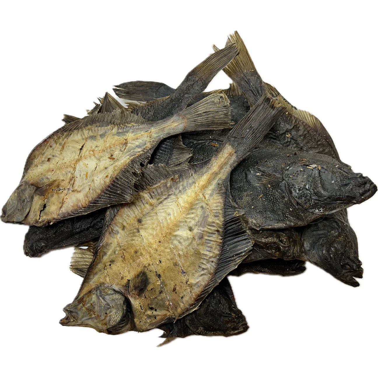 Flounder Fish