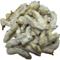 Rabbit Leg Feet with Fur