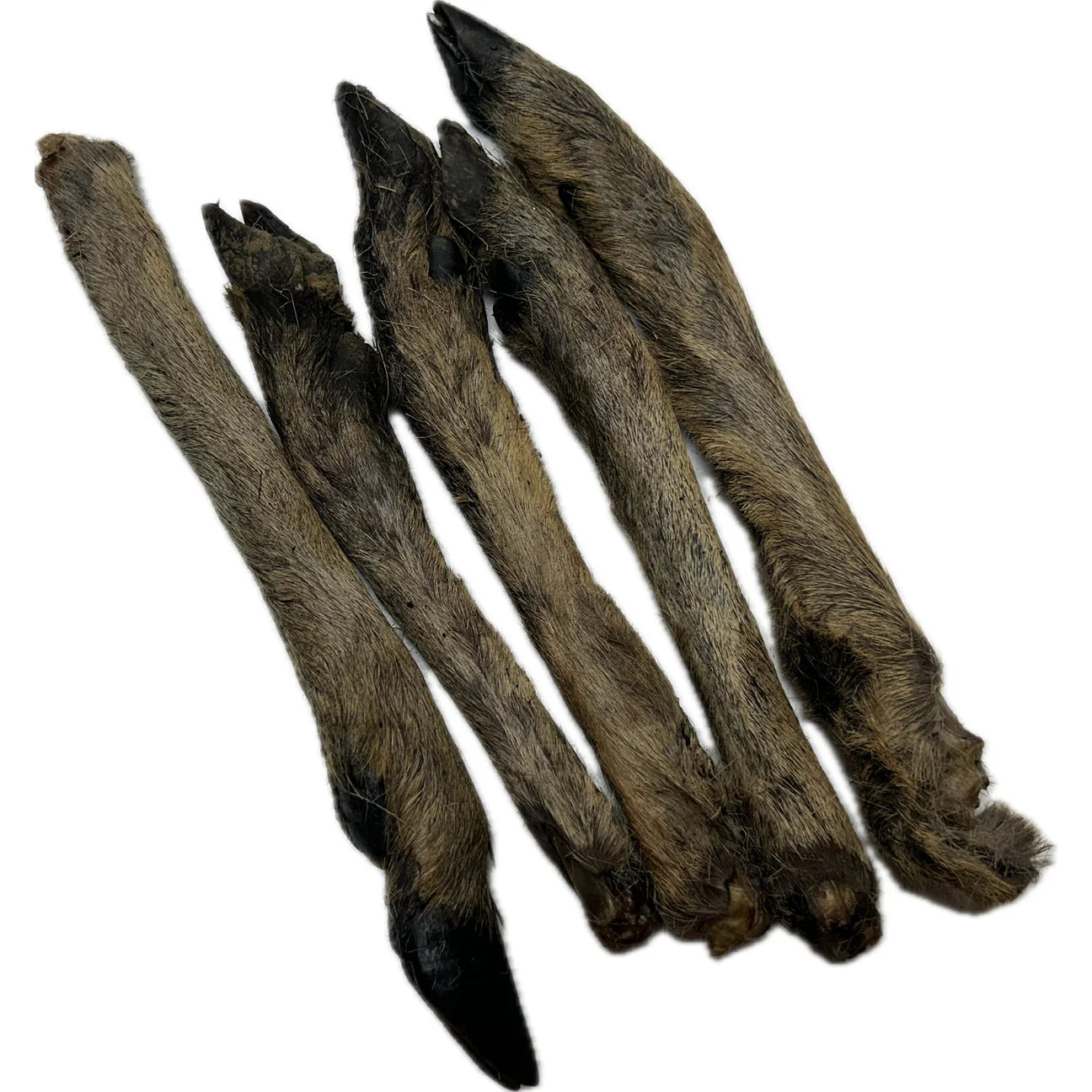 Roe Leg Feet with fur