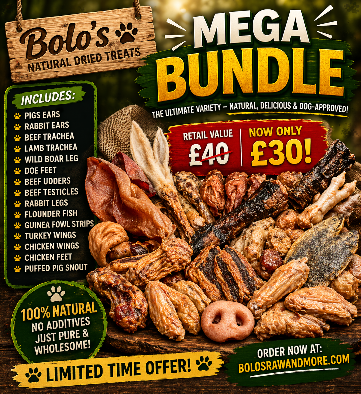 MEGA BUNDLE
