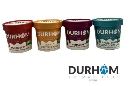 Durham Ice Cream